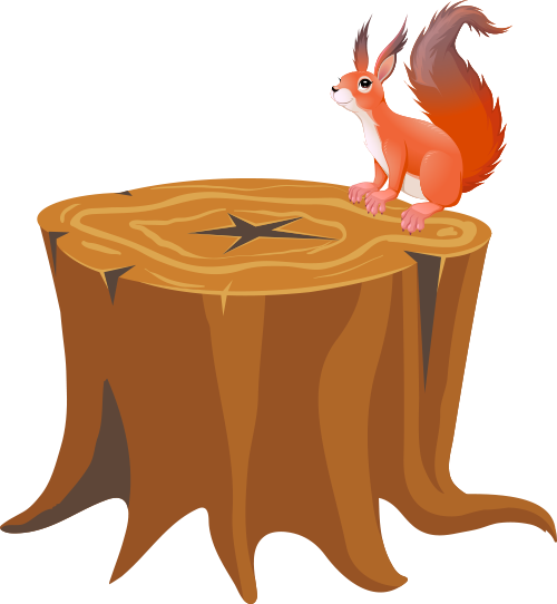 Veverka na pařezu – ilustrace